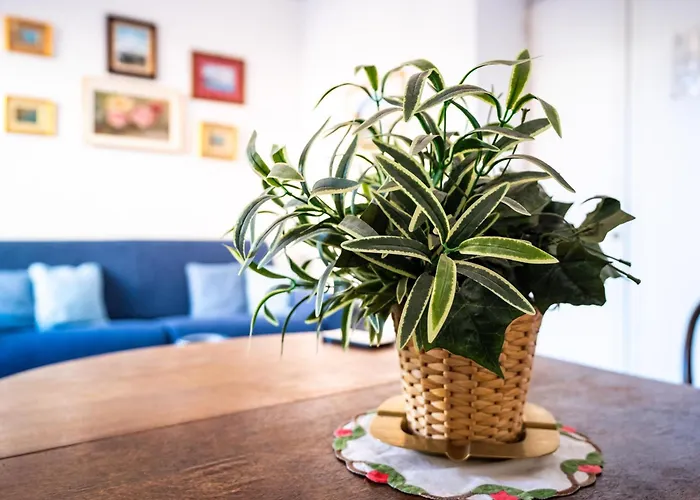 Apartment Stefania Flat - Center Amalfi