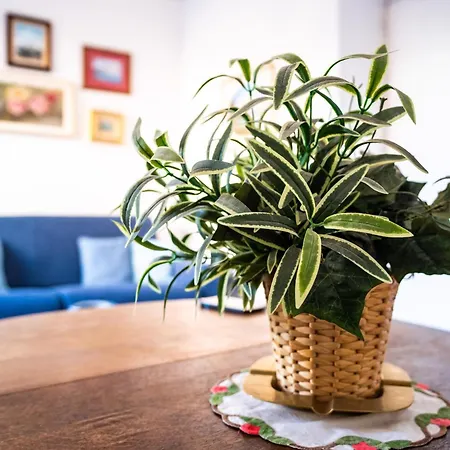 Appartamento Stefania Flat - Center Amalfi